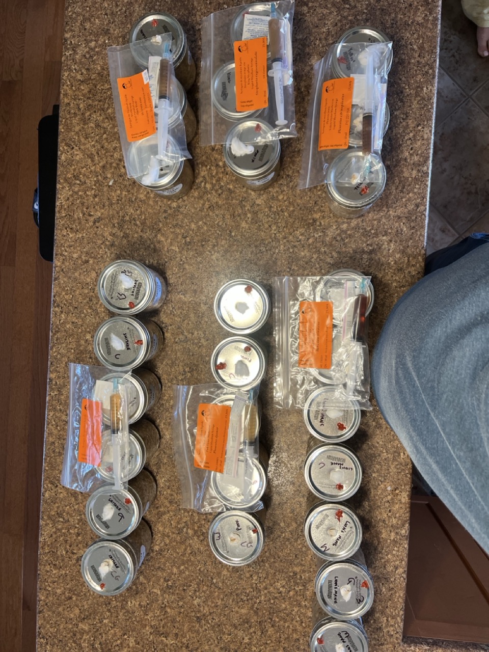 Mushroom spore syringes and inoculation jars ready for use